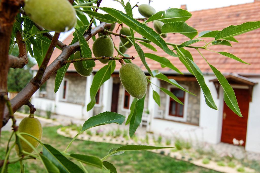 Vitamin B63 Vendeghaz Болдокюварая Екстериор снимка